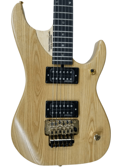 Custom Aurelius Nuno N4 Bettencourt  Electric Guitar Floyd Rose Tremolo