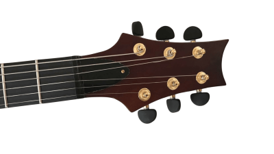 Custom Monarch SE Birdseye Maple Top 24 Guitar - Image 3