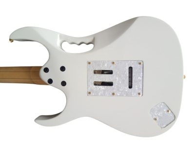 Custom Axis JEM7V Steve Vai White Gold Floral 6 String Electric Guitar - Image 8