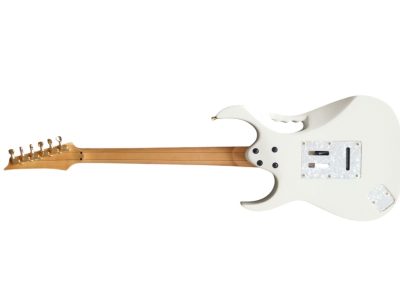 Custom Axis JEM7V Steve Vai White Gold Floral 6 String Electric Guitar - Image 7