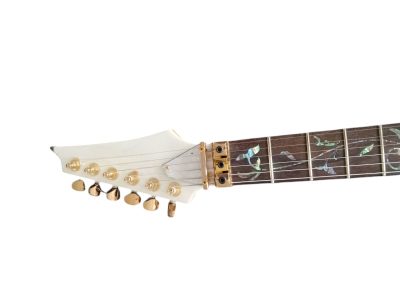 Custom Axis JEM7V Steve Vai White Gold Floral 6 String Electric Guitar - Image 6