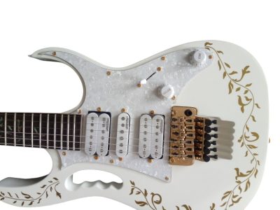 Custom Axis JEM7V Steve Vai White Gold Floral 6 String Electric Guitar - Image 4
