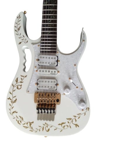 Custom Axis JEM7V Steve Vai White Gold Floral 6 String Electric Guitar