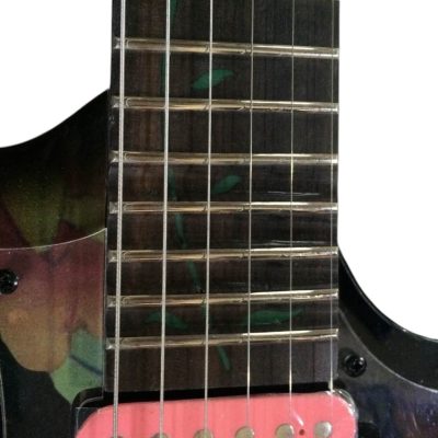 Custom Axis JEM77FP Steve Floral Electric Guitar - Image 7