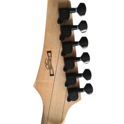 Custom Axis JEM77FP Steve Floral Electric Guitar - Image 5