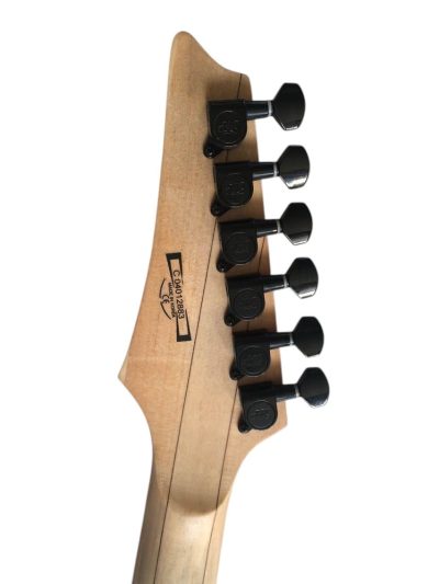 Custom Axis JEM77FP Steve Lotus Floral Electric Guitar - Image 5