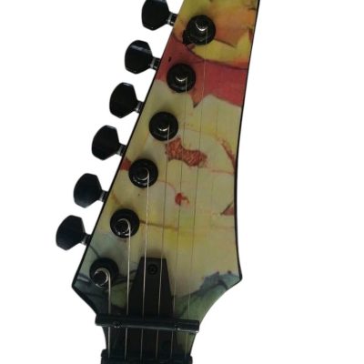 Custom Axis JEM77FP Steve Floral Electric Guitar - Image 4