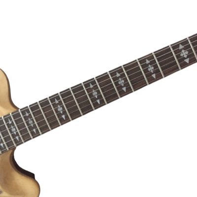 Custom Crown Tennessee Fhole Tiger Maple Top Electric Guitar - Image 7