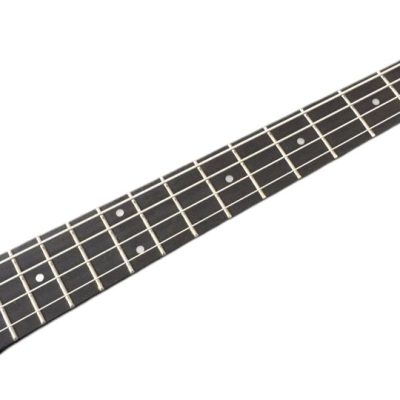Custom Crown Krist Black Thunderbird 4 String Novoselic Bass - Image 4
