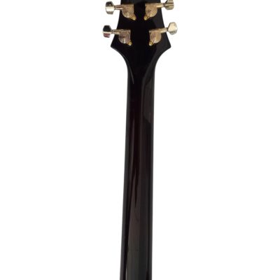Custom Monarch SE Hollowbody II Piezo Fhole Amber Burst Guitar - Image 2