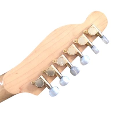 Custom Regent Gold James Paisley Flower Pattern Electric Guitar Rosewood Fretboard 3 Pickups - Image 5