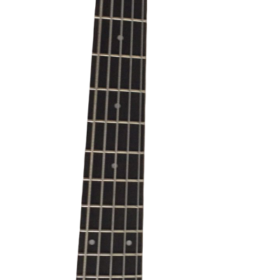 Custom Solis Burl Maple Top Emperor II 5 String Bass - Image 6