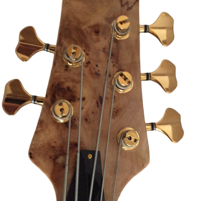 Custom Solis Burl Maple Top Emperor II 5 String Bass - Image 2