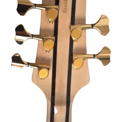 Custom Solis Burl Maple Top Emperor II 5 String Bass - Image 8