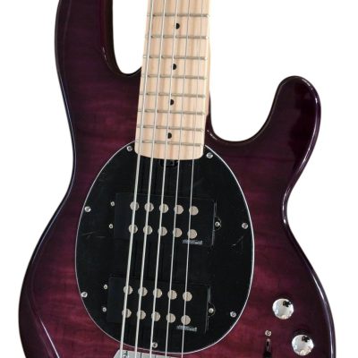 Custom Aether Sting Purple Burst Quilted Maple 4 String Bass
