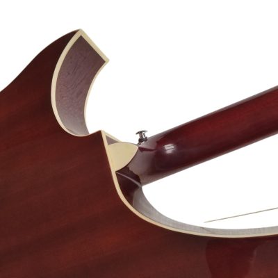 Custom Eclipse Harp Double Neck Natural Finish 6 String Acoustic Guitar 6 Sting Harp - Image 4