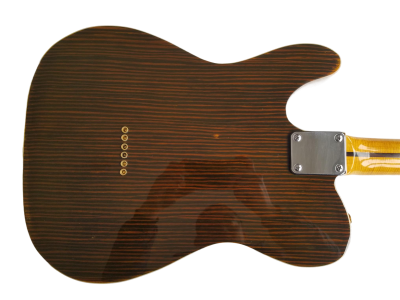 Custom Regent Masterbuilt 60s Rosewood Guitar - Image 2