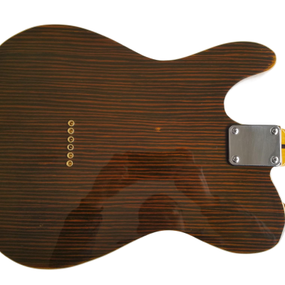 Custom Regent Masterbuilt 60s Rosewood Guitar - Image 2
