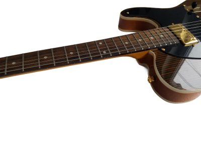 Custom Regent Masterbuilt 60s Rosewood Guitar - Image 9
