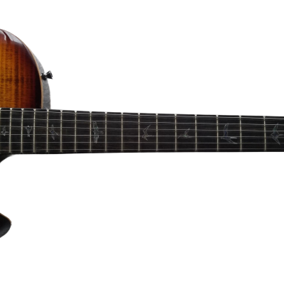 Custom Monarch Schon Thinline Hollowbody McCarty Burst Finish Guitar - Image 4