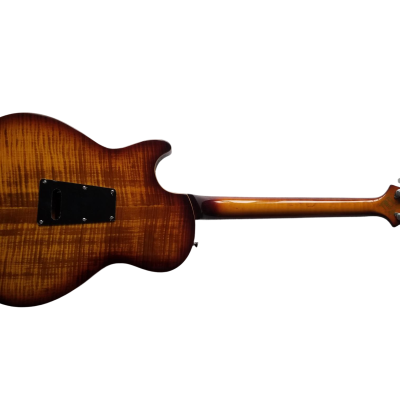 Custom Monarch Schon Thinline Hollowbody McCarty Burst Finish Guitar - Image 10