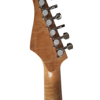 Custom Magnitude J Aqua Flame Top Electric Guitar - Image 4