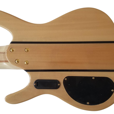 Custom Denver Elite BSR Quilted Maple 6 String Bass - Image 13