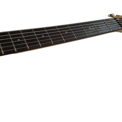 Custom Denver Elite BSR Quilted Maple 6 String Bass - Image 3