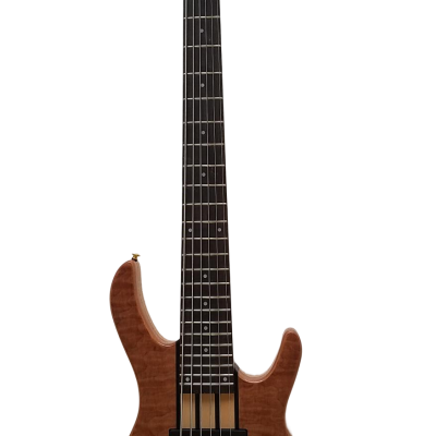 Custom Denver Elite BSR Quilted Maple 6 String Bass - Image 2