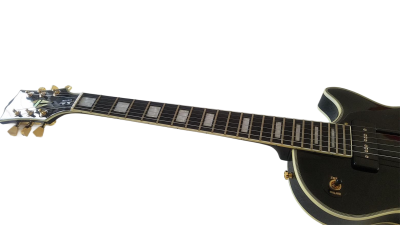 Custom Crown Black Beauty 2 P90 Pickups Ebony Fretboard Guitar - Image 10