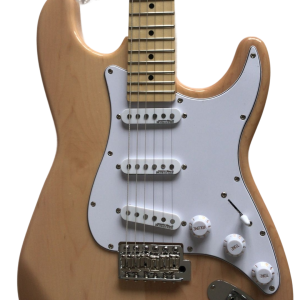 Custom Regent Mahogany Body Wood Finish Electric Guitar