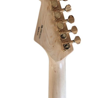Custom Regent Plexiglass Acrylic Multi Colored LED Tremolo Guitar ST Maple Fretboard - Image 8