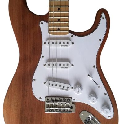 Custom Regent ST Mahogany Body Wood 6 String Electric Guitar