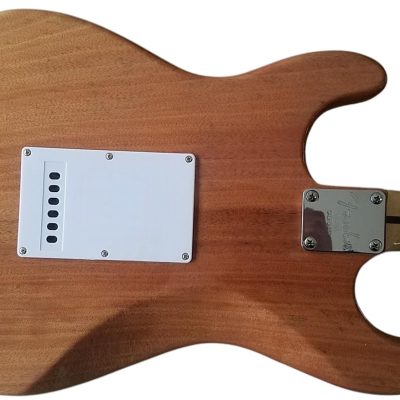 Custom Regent ST Mahogany Body Wood 6 String Electric Guitar - Image 4