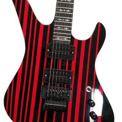 Custom Titan Synyster Gates Black And Red Pinstripe Floyd Rose Tremolo Guitar