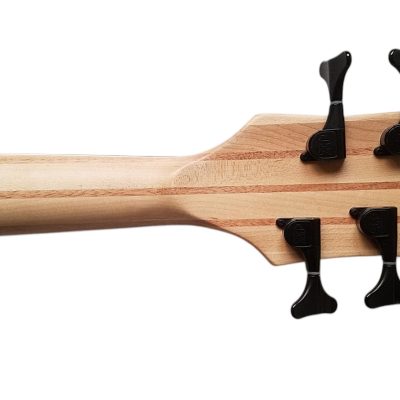 Custom Pulse Corvette Swamp Ash 5 String Bass - Image 4