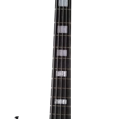 Custom Pulse Corvette Swamp Ash 5 String Bass - Image 7