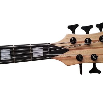 Custom Pulse Corvette Swamp Ash 5 String Bass - Image 8