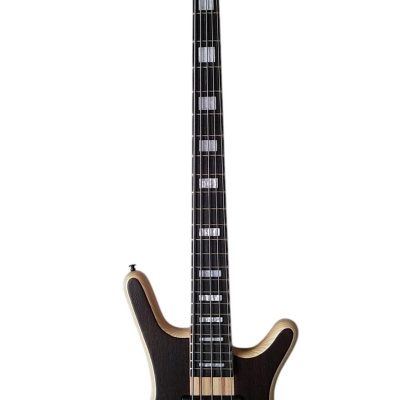 Custom Pulse Corvette Swamp Ash 5 String Bass - Image 9