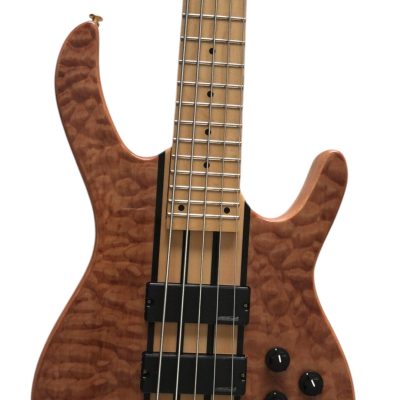 Custom Denver Elite Figured Wood Quilted Maple 5 String Bass Maple Fretboard