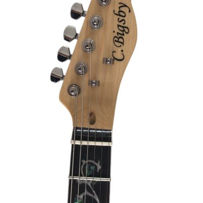 Custom Regent Thinline Fhole Bigsby Quilted Maple Guitar - Image 4