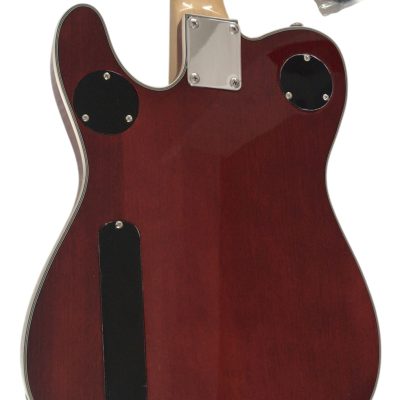 Custom Regent Thinline Fhole Bigsby Quilted Maple Guitar - Image 6