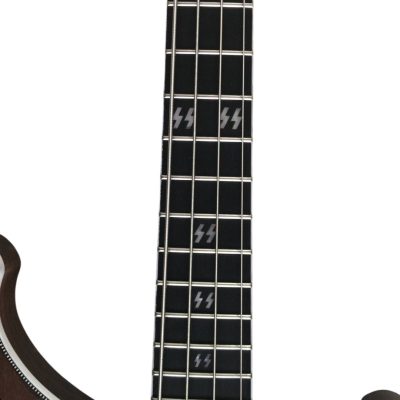 Custom Nova Skull Inlays Lemmy Kilmister 4004 Walnut Wood Carved With Oak Leaves Bass - Image 5