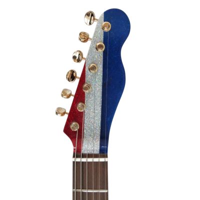 Custom Regent Buck Owens Red Blue Silver Sparkle Finish Guitar Gold Pickguard Rosewood Fretboard - Image 6