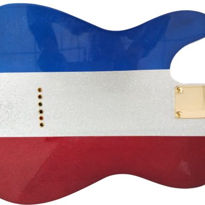 Custom Regent Buck Owens Red Blue Silver Sparkle Finish Guitar Gold Pickguard Rosewood Fretboard - Image 4