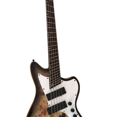 Custom Regent Multiscale 5 String Bass Burl Maple Top Jaguar - Image 7