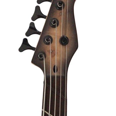 Custom Regent Multiscale 5 String Bass Burl Maple Top Jaguar - Image 6