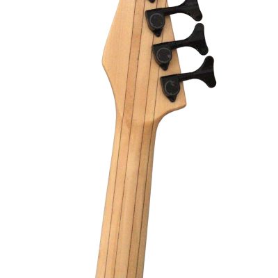 Custom Regent Multiscale 5 String Bass Burl Maple Top Jaguar - Image 3