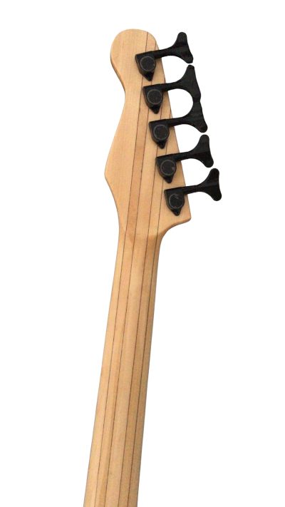 Custom Regent Multiscale 5 String Bass Burl Maple Top Jaguar - Image 3