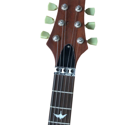 Custom Monarch Turquoise Blue Flame Maple Top Tremolo Guitar - Image 3